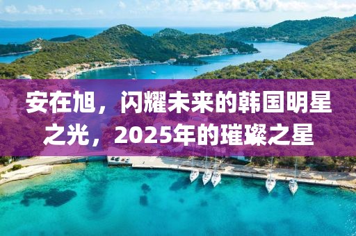 安在旭,閃耀未來的韓國(guó)明星之光,2025年的璀璨之星