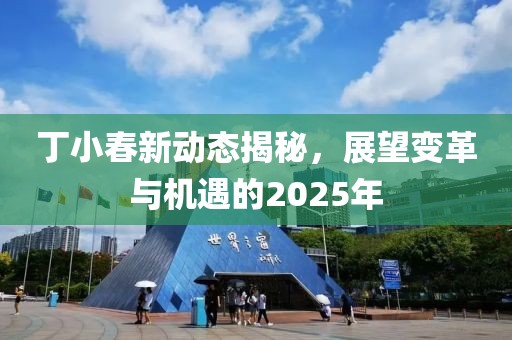 丁小春新動態揭秘,展望變革與機遇的2025年