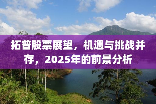 拓普股票展望,機遇與挑戰并存,2025年的前景分析