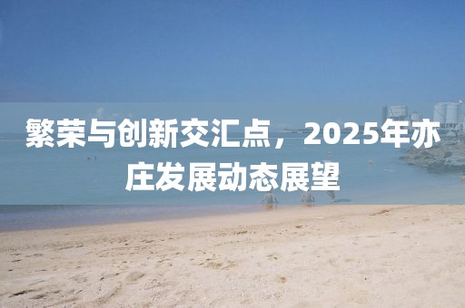 繁榮與創新交匯點,2025年亦莊發展動態展望