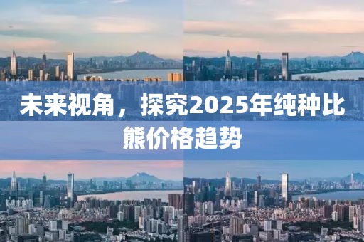 未來視角，探究2025年純種比熊價格趨勢