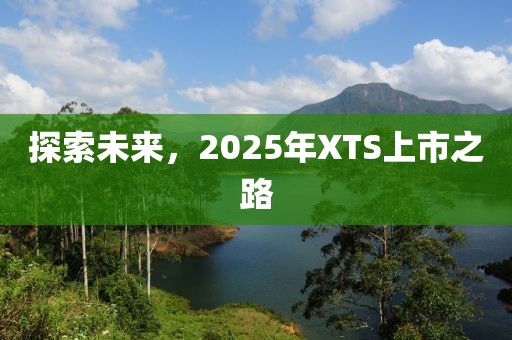 探索未來,2025年XTS上市之路
