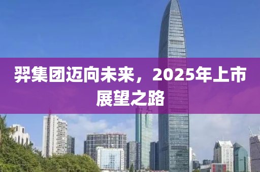 羿集團邁向未來,2025年上市展望之路