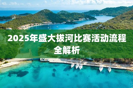 2025年盛大拔河比賽活動流程全解析