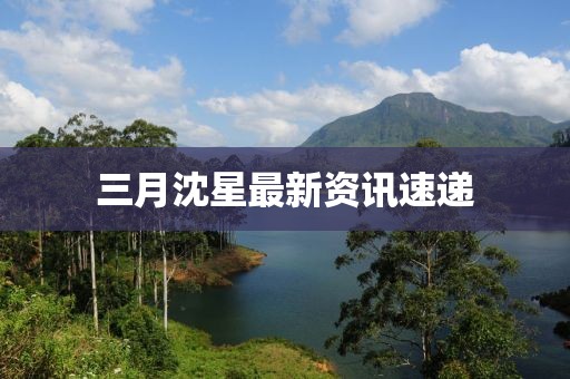 三月沈星最新資訊速遞