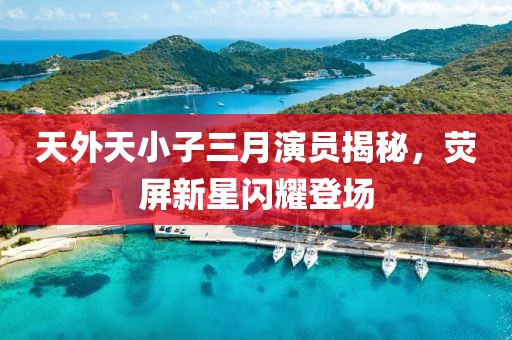 天外天小子三月演員揭秘,熒屏新星閃耀登場