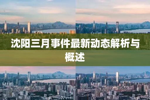 沈陽三月事件最新動態解析與概述