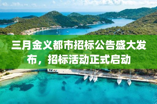 三月金義都市招標公告盛大發布，招標活動正式啟動