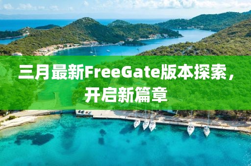 三月最新FreeGate版本探索,開啟新篇章