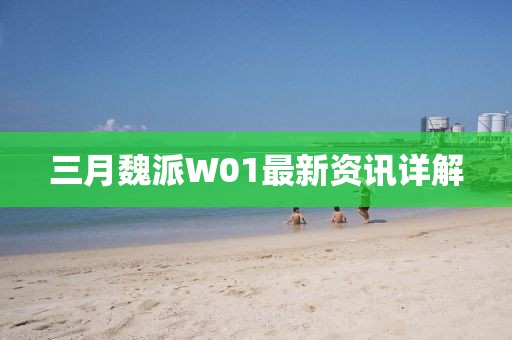 三月魏派W01最新資訊詳解