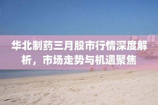 華北制藥三月股市行情深度解析，市場走勢與機遇聚焦