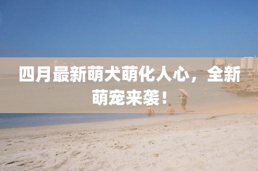 四月最新萌犬萌化人心,全新萌寵來襲!