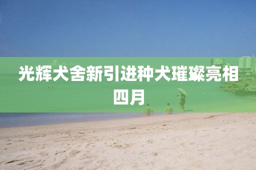 光輝犬舍新引進種犬璀璨亮相四月