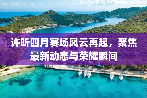 許昕四月賽場風云再起,聚焦最新動態與榮耀瞬間