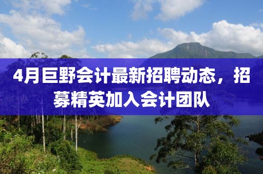 4月巨野會(huì)計(jì)最新招聘動(dòng)態(tài),招募精英加入會(huì)計(jì)團(tuán)隊(duì)
