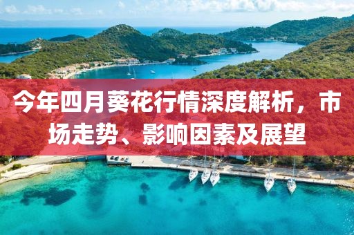 今年四月葵花行情深度解析，市場走勢、影響因素及展望
