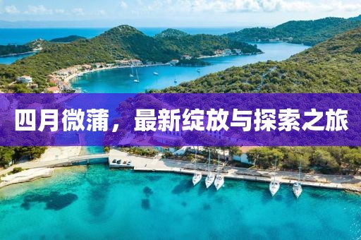四月微蒲，最新綻放與探索之旅