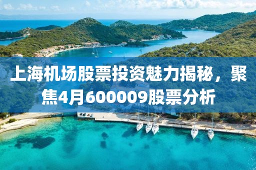 上海機(jī)場股票投資魅力揭秘,聚焦4月600009股票分析