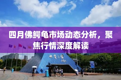 四月佛鱷龜市場動態分析，聚焦行情深度解讀