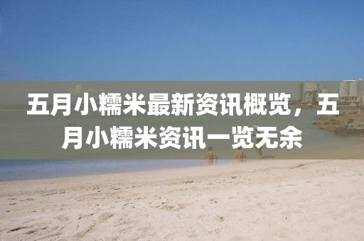 五月小糯米最新資訊概覽,五月小糯米資訊一覽無余