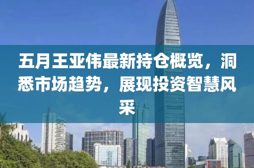 五月王亞偉最新持倉概覽，洞悉市場趨勢，展現投資智慧風采