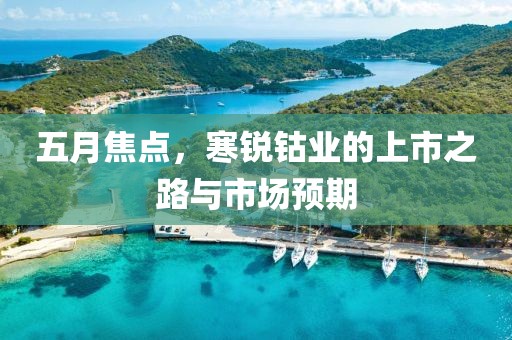 五月焦點，寒銳鈷業的上市之路與市場預期