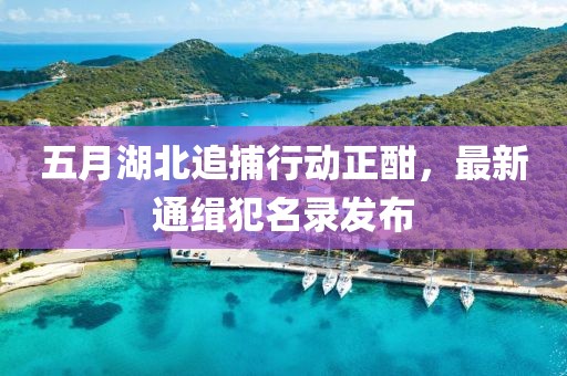 五月湖北追捕行動正酣，最新通緝犯名錄發布