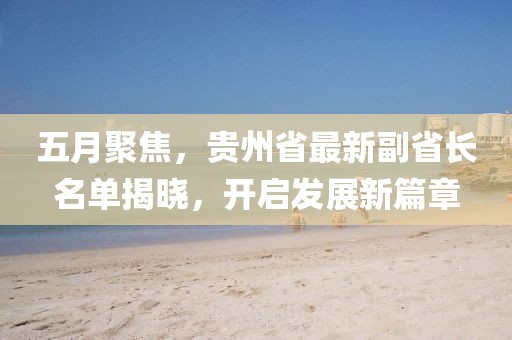 五月聚焦,貴州省最新副省長名單揭曉,開啟發(fā)展新篇章