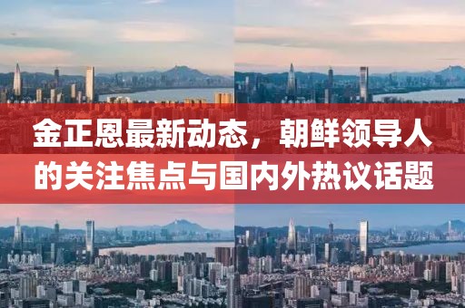 金正恩最新動態,朝鮮領導人的關注焦點與國內外熱議話題