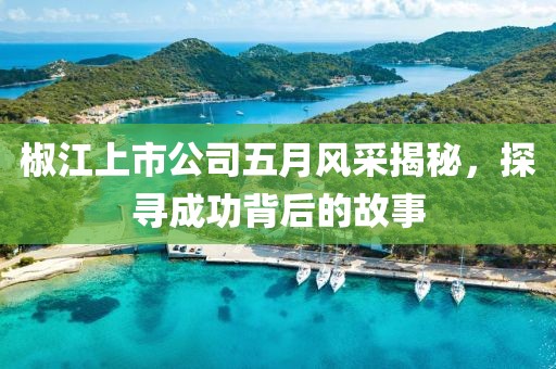 椒江上市公司五月風采揭秘,探尋成功背后的故事