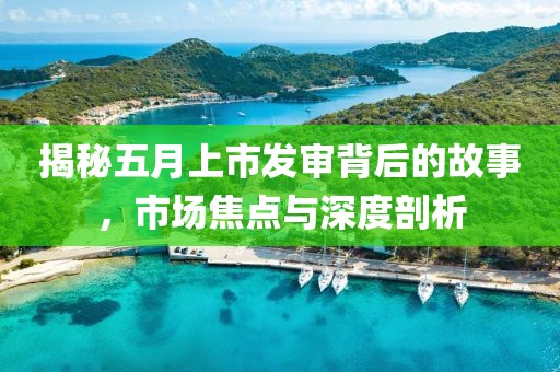 揭秘五月上市發(fā)審背后的故事,市場焦點與深度剖析