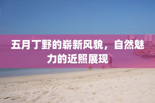 五月丁野的嶄新風貌，自然魅力的近照展現