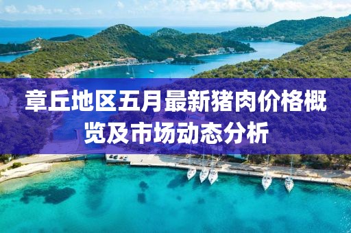 章丘地區(qū)五月最新豬肉價格概覽及市場動態(tài)分析