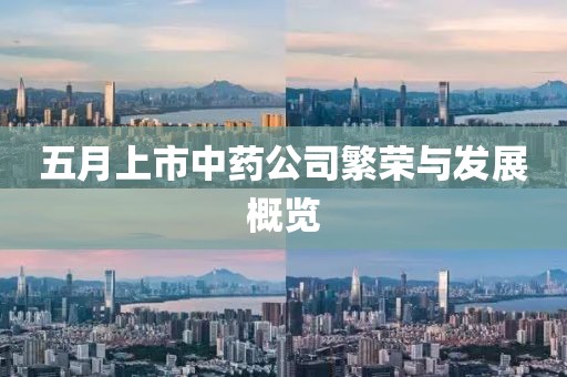 五月上市中藥公司繁榮與發展概覽