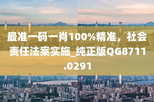 最準(zhǔn)一碼一肖100%精準(zhǔn),社會責(zé)任法案實(shí)施_純正版QG8711.0291