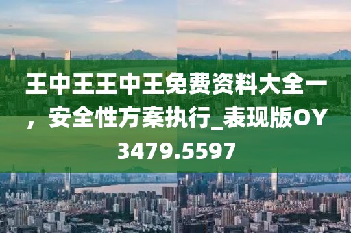王中王王中王免費資料大全一,安全性方案執行_表現版OY3479.5597