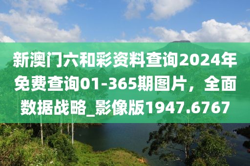 新澳門六和彩資料查詢2024年免費查詢01-365期圖片,全面數(shù)據(jù)戰(zhàn)略_影像版1947.6767