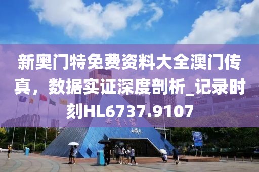 新奧門特免費資料大全澳門傳真，數據實證深度剖析_記錄時刻HL6737.9107