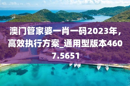 澳門管家婆一肖一碼2023年,高效執行方案_通用型版本4607.5651