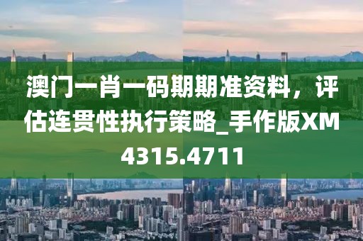 澳門一肖一碼期期準資料,評估連貫性執行策略_手作版XM4315.4711