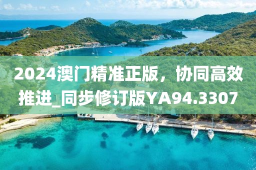 2024澳門精準正版,協同高效推進_同步修訂版YA94.3307