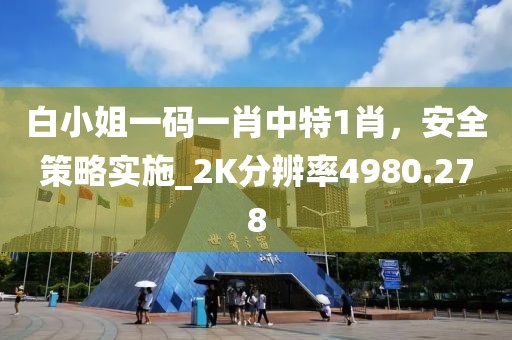 白小姐一碼一肖中特1肖,安全策略實施_2K分辨率4980.278