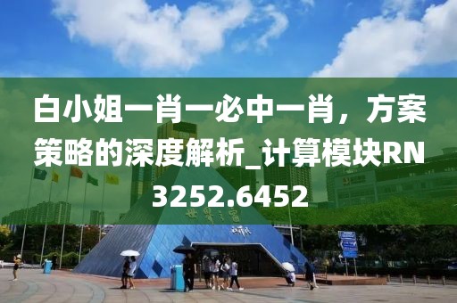 白小姐一肖一必中一肖,方案策略的深度解析_計算模塊RN3252.6452