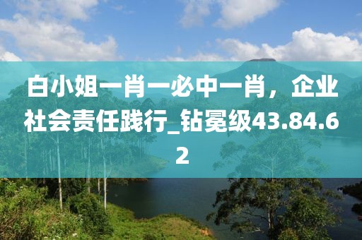 白小姐一肖一必中一肖,企業社會責任踐行_鉆冕級43.84.62