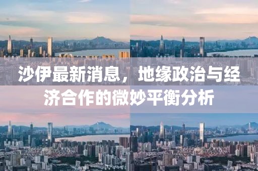 沙伊最新消息,地緣政治與經濟合作的微妙平衡分析