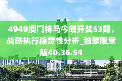 4949澳門特馬今晚開獎53期,戰略執行穩定性分析_獨家限量版40.36.54
