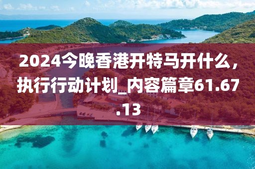 2024今晚香港開特馬開什么,執(zhí)行行動計(jì)劃_內(nèi)容篇章61.67.13