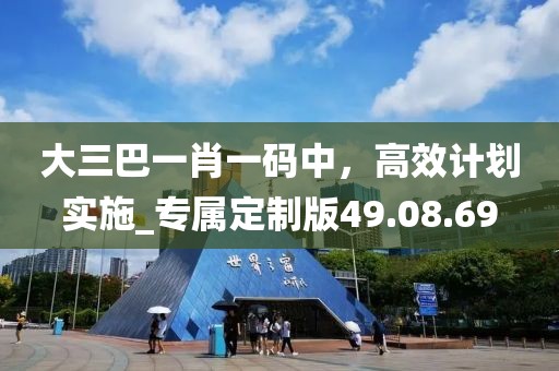 大三巴一肖一碼中,高效計劃實施_專屬定制版49.08.69