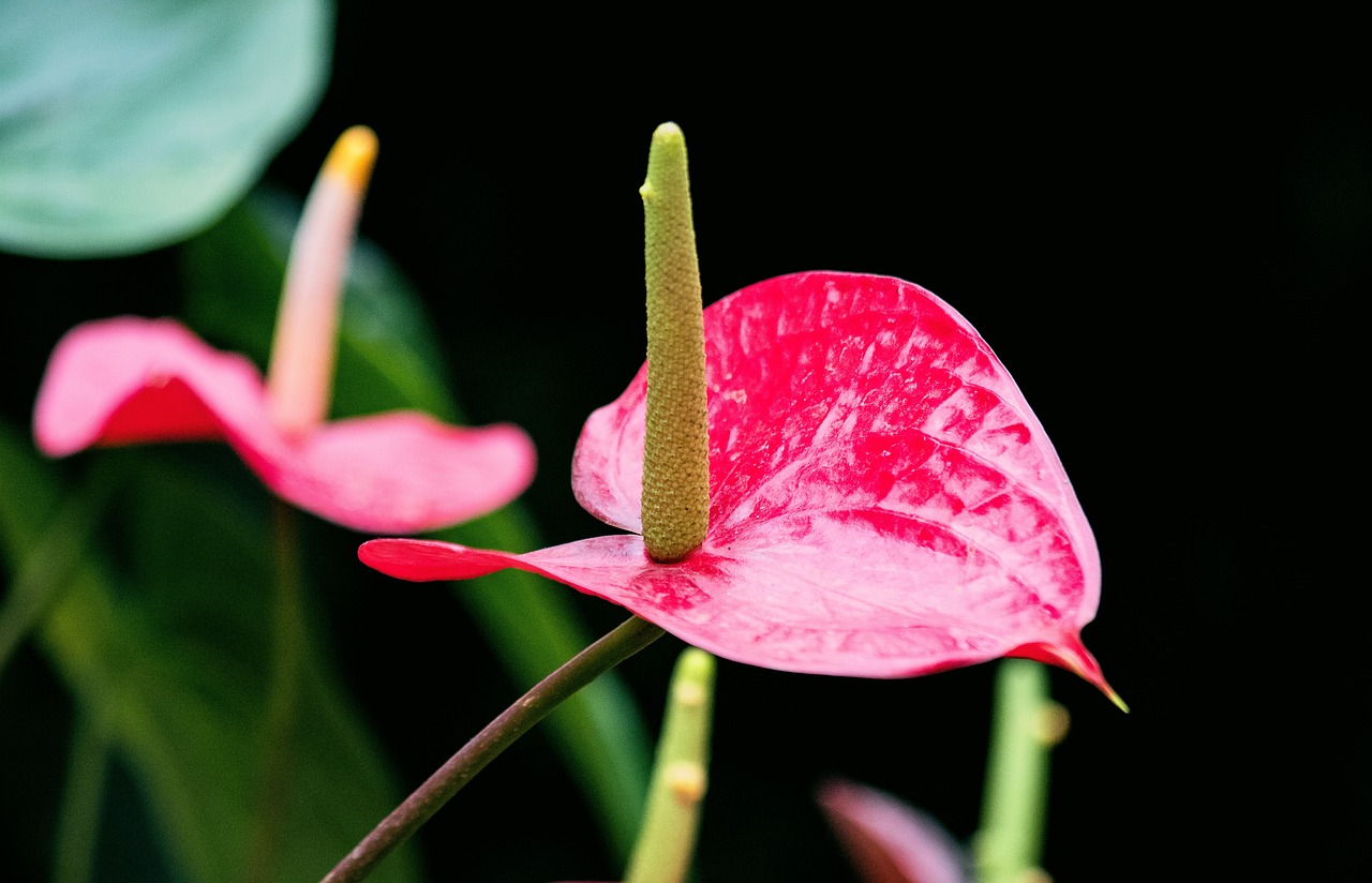 申通最新新聞引領物流行業新動態