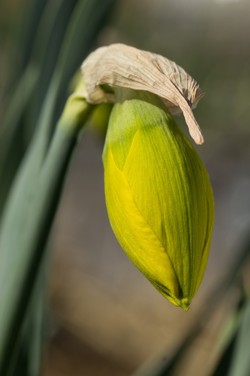 關于試驗破解版軟件的最新動態,最新破解版試驗、風險與犯罪性質探討